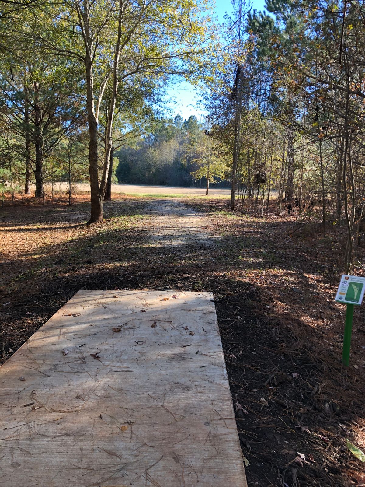 8 tee pad long