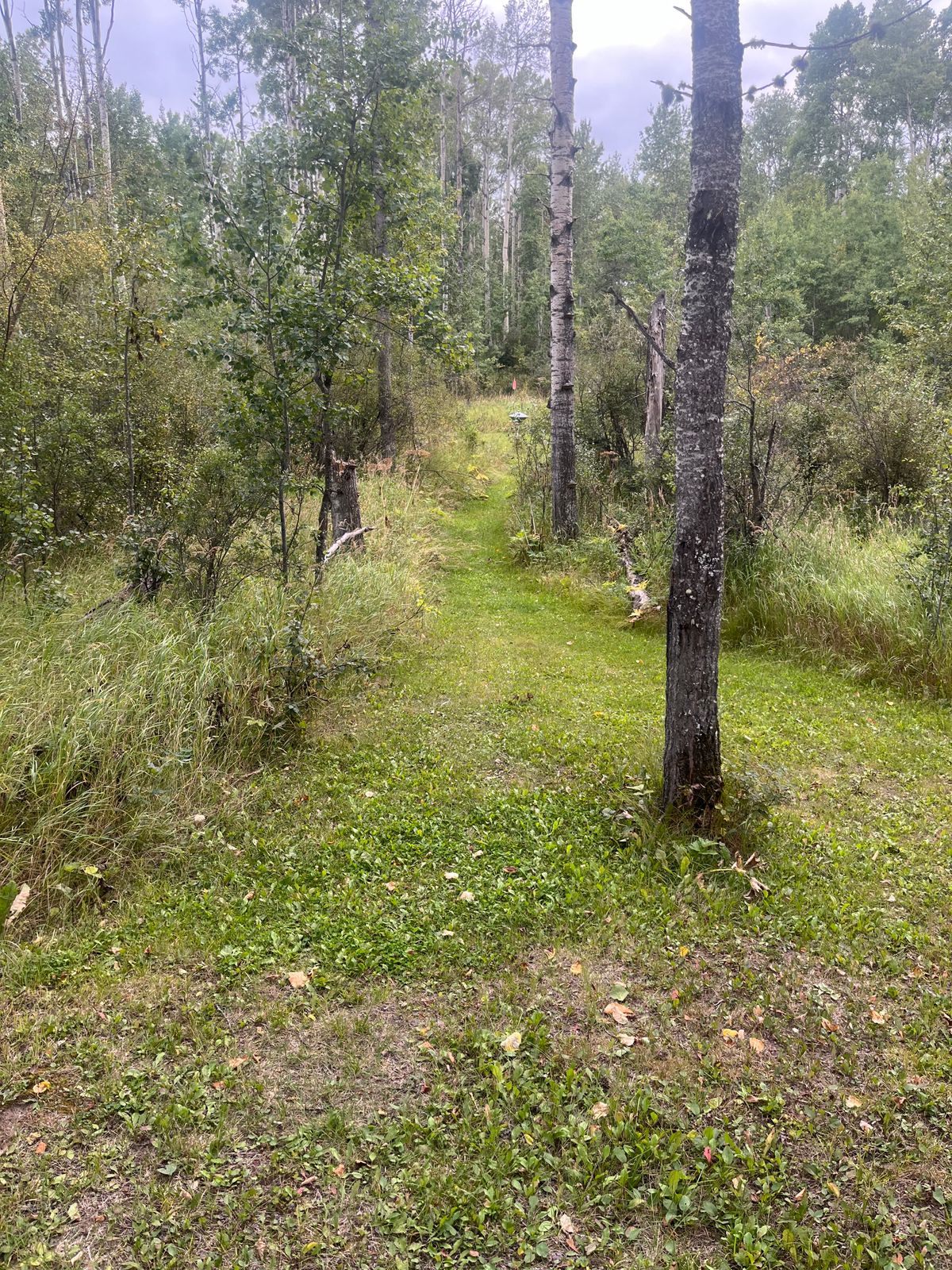 3rd Fairway