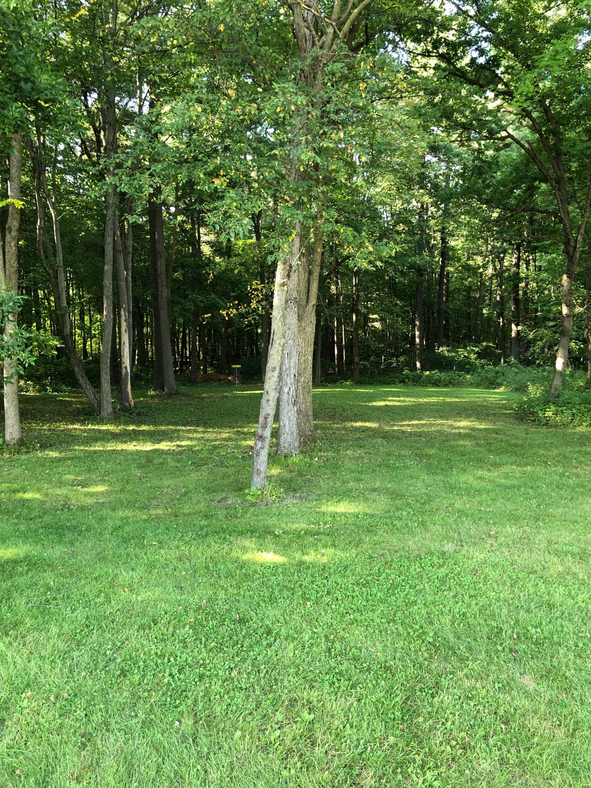 Hole 4 Fairway