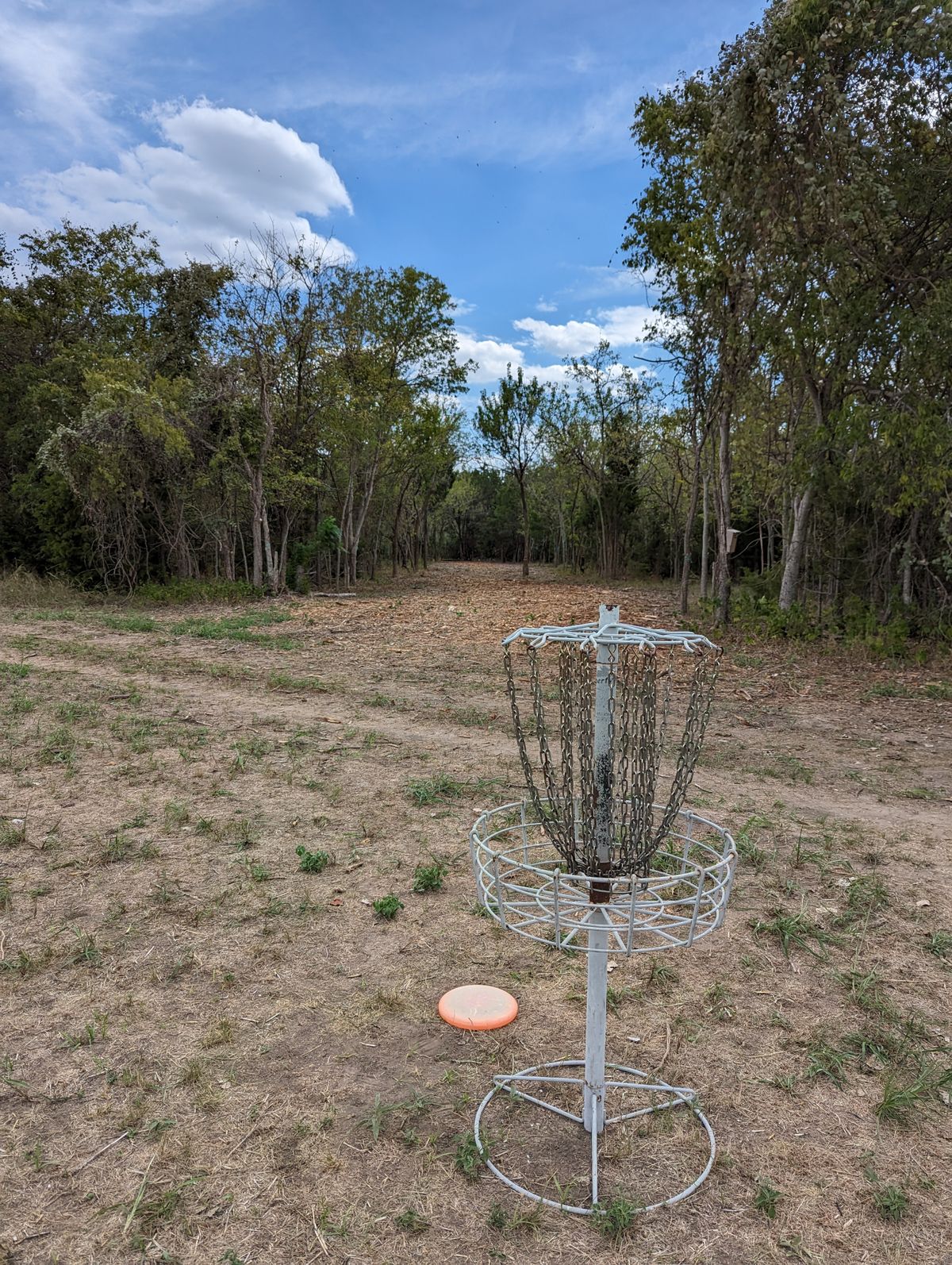 Hole 12 Basket