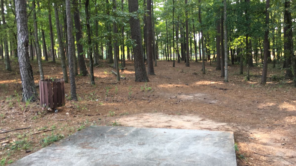 Hole 15