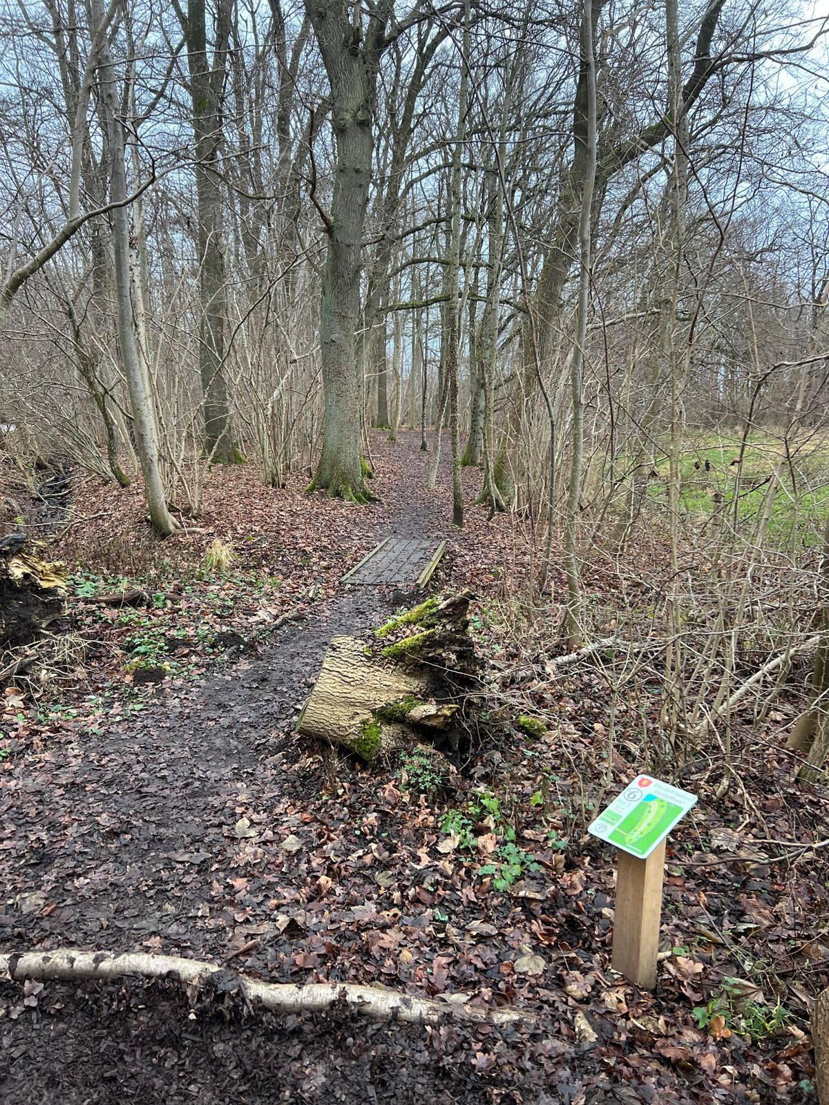 Hole 6