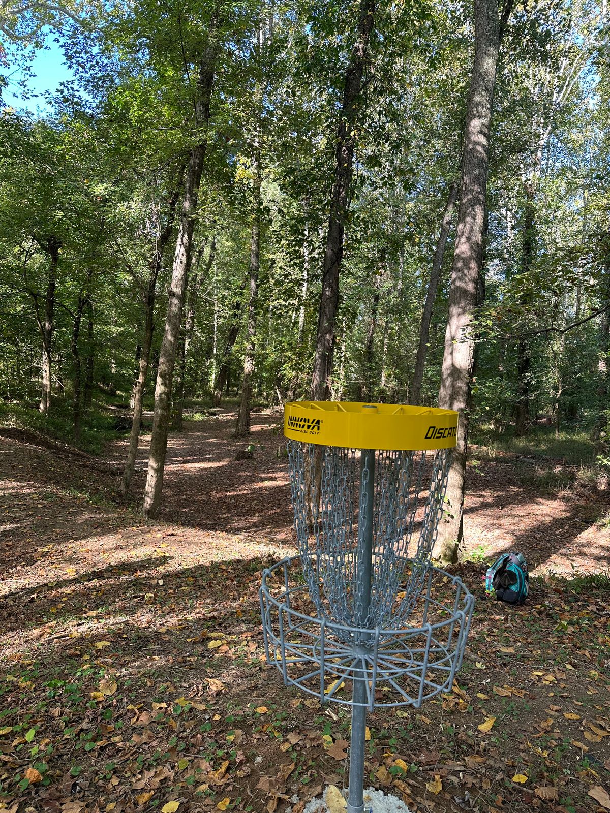6s Basket