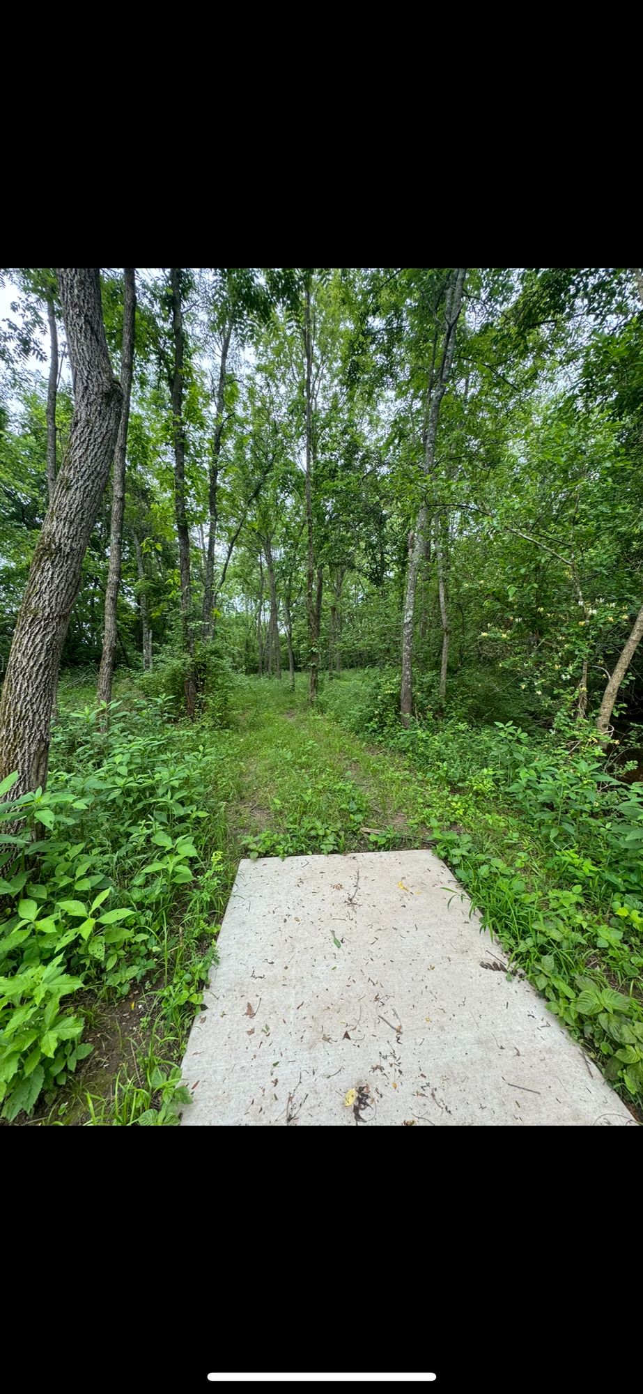 Hole 3 teepad