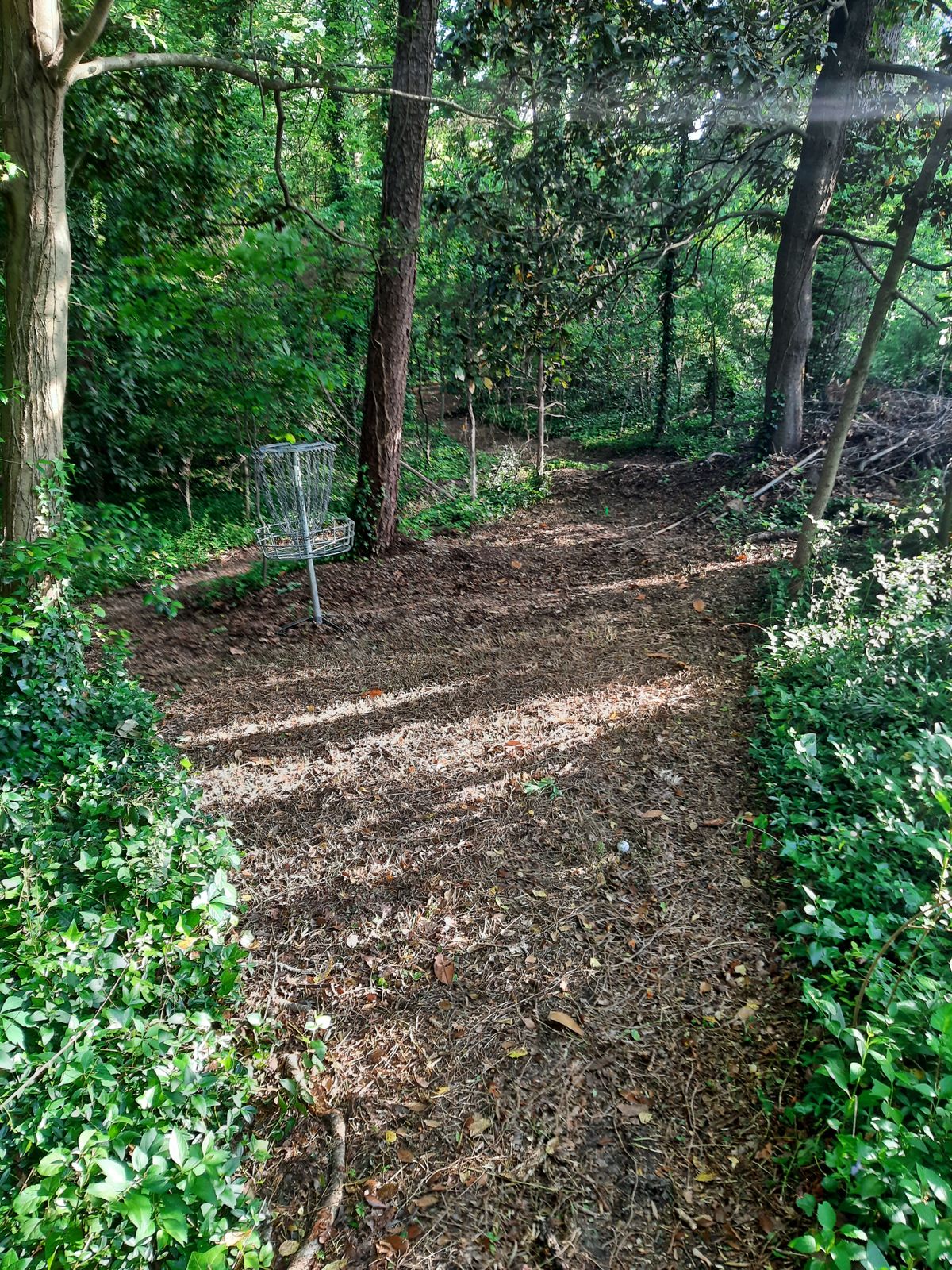Hole 19 Green A Pin