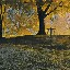 User avatar image