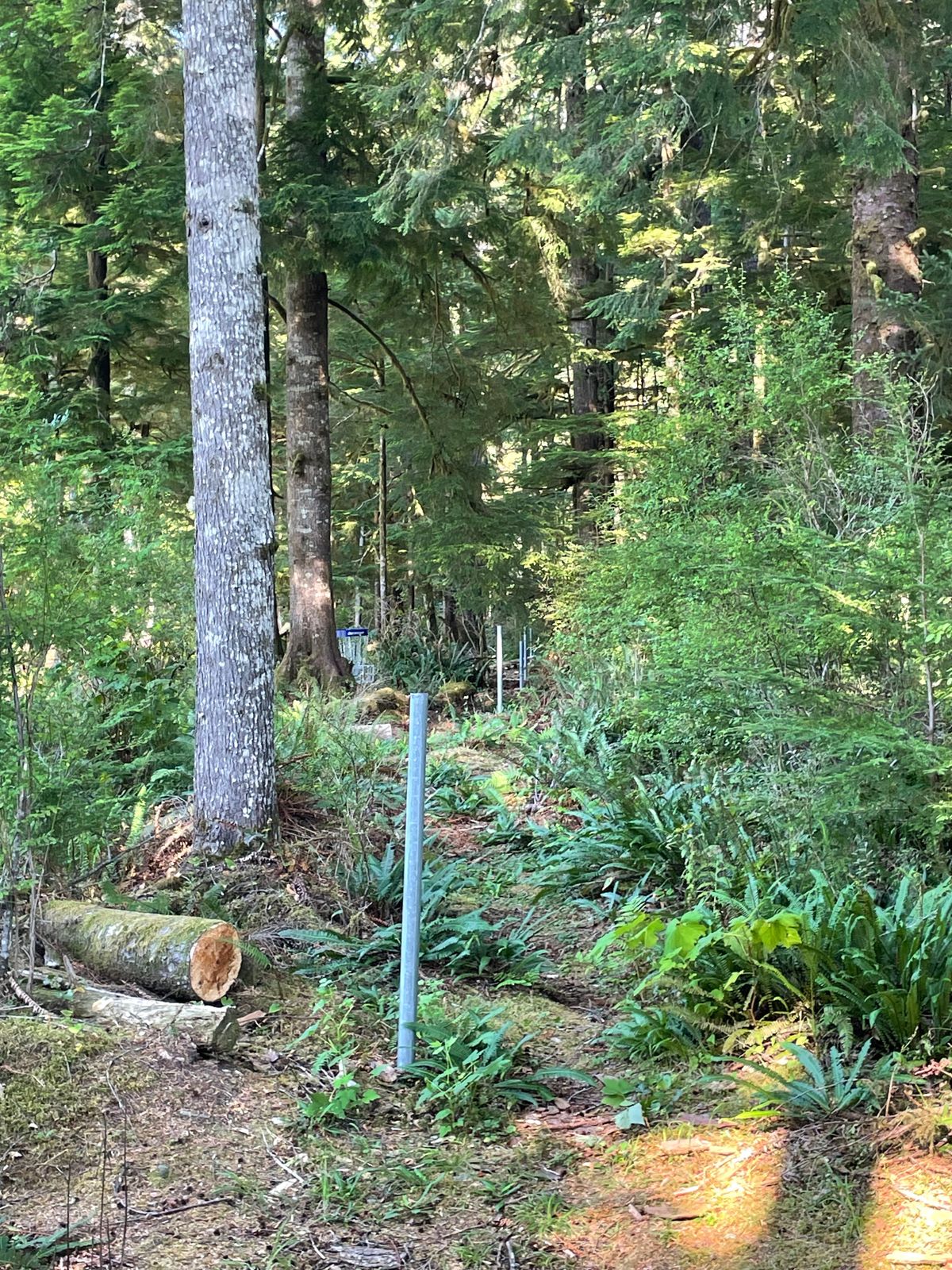 Hole 2