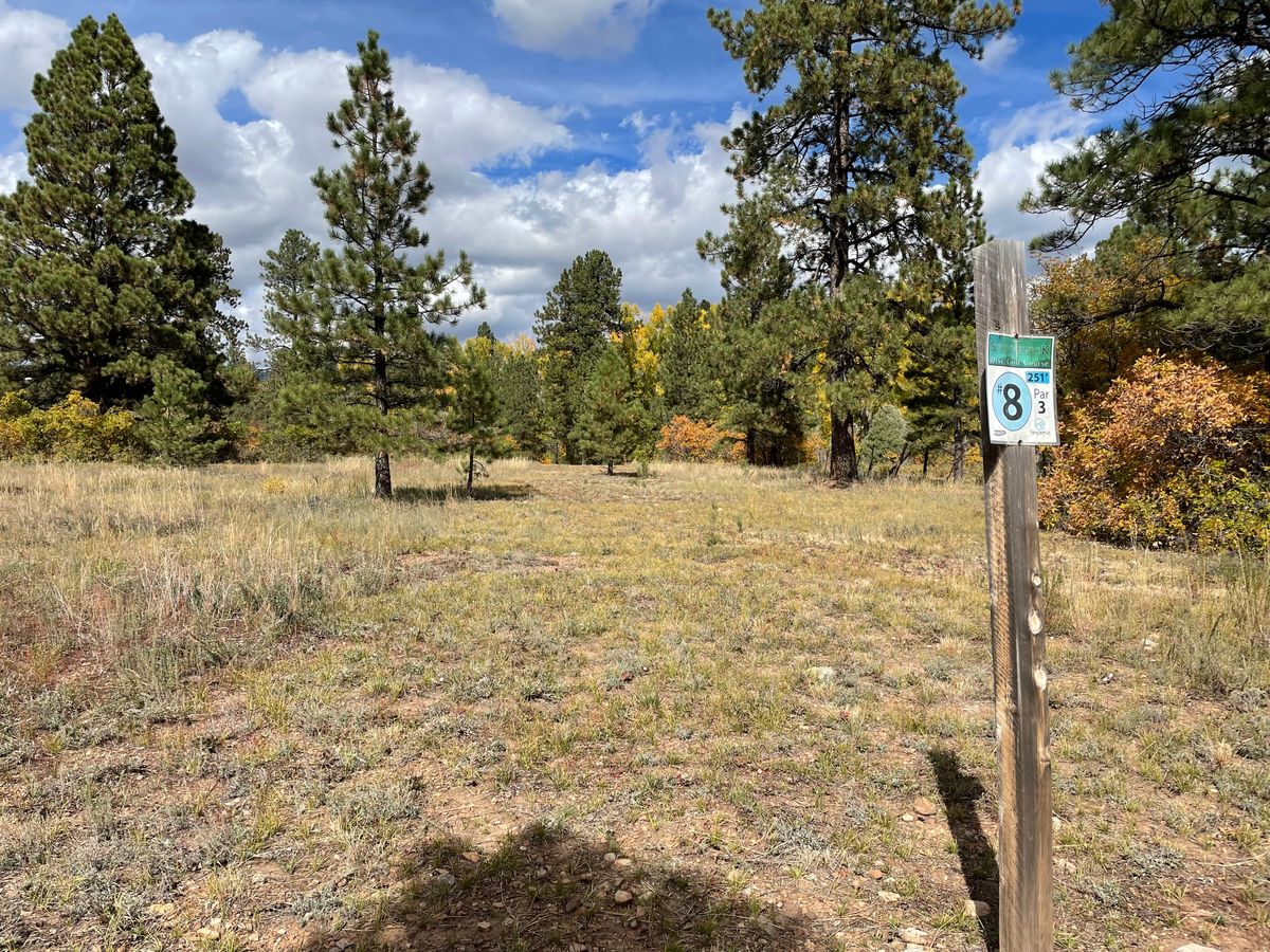Hole 8 tee Silver Pick Disc Golf Course