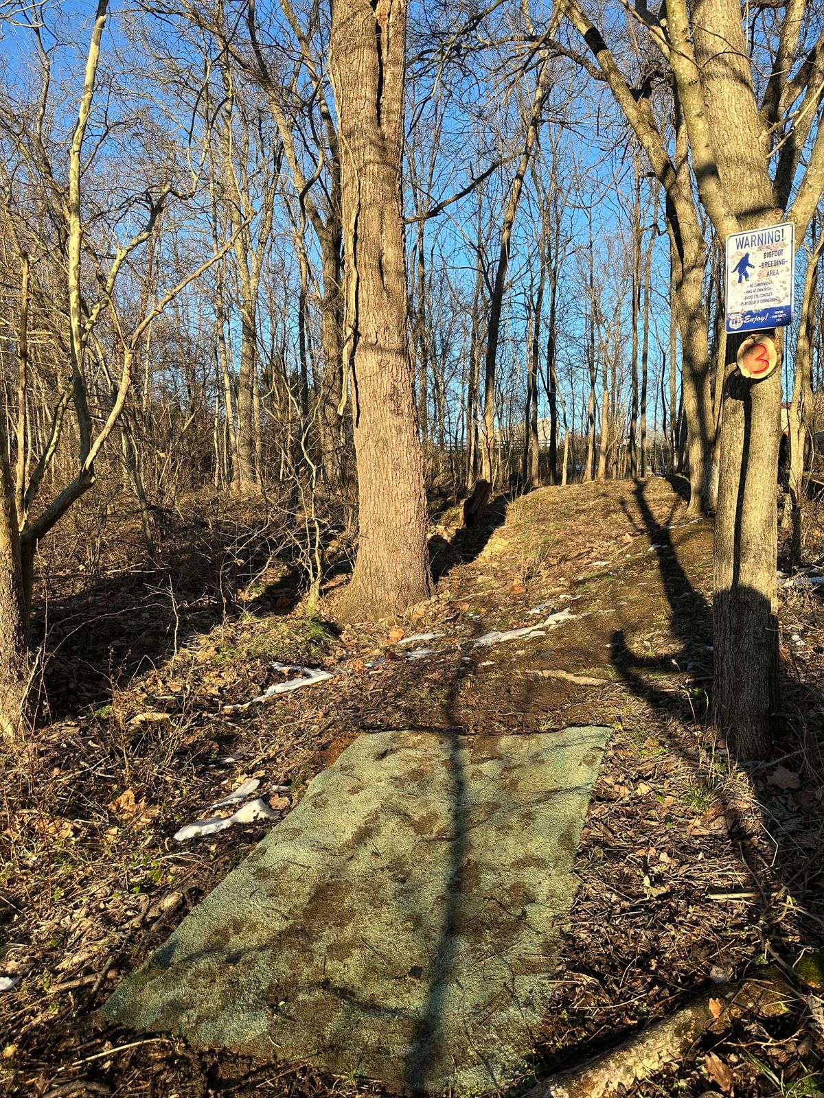 Hole 3 tee pad,  NO OB.