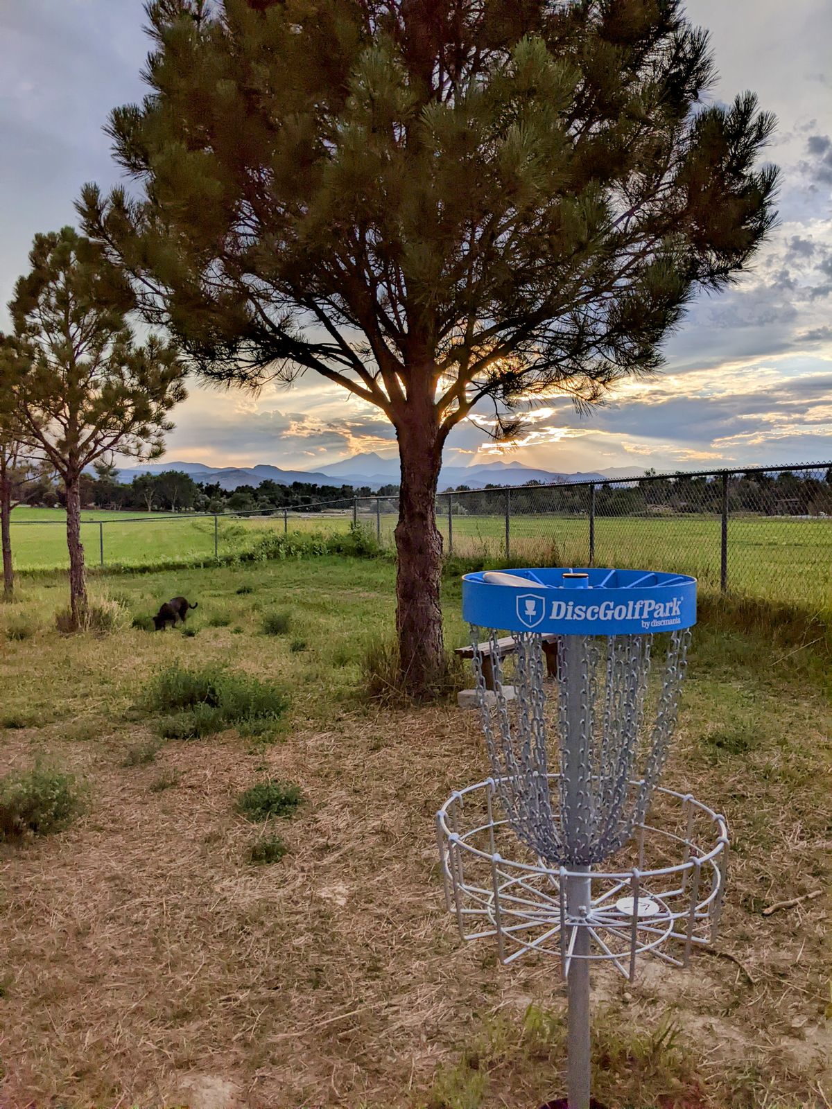 Hole 8 basket