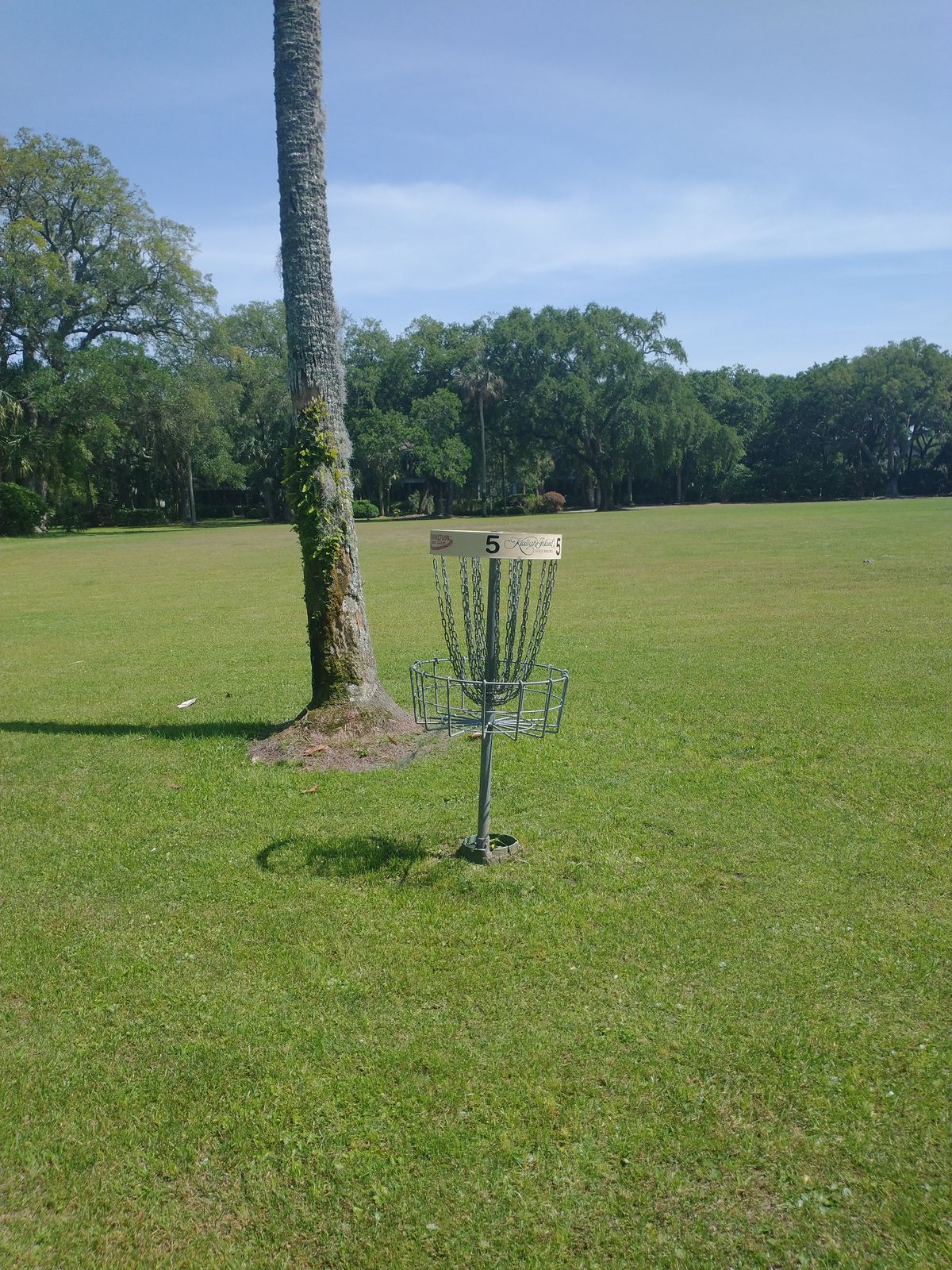 Hole 5