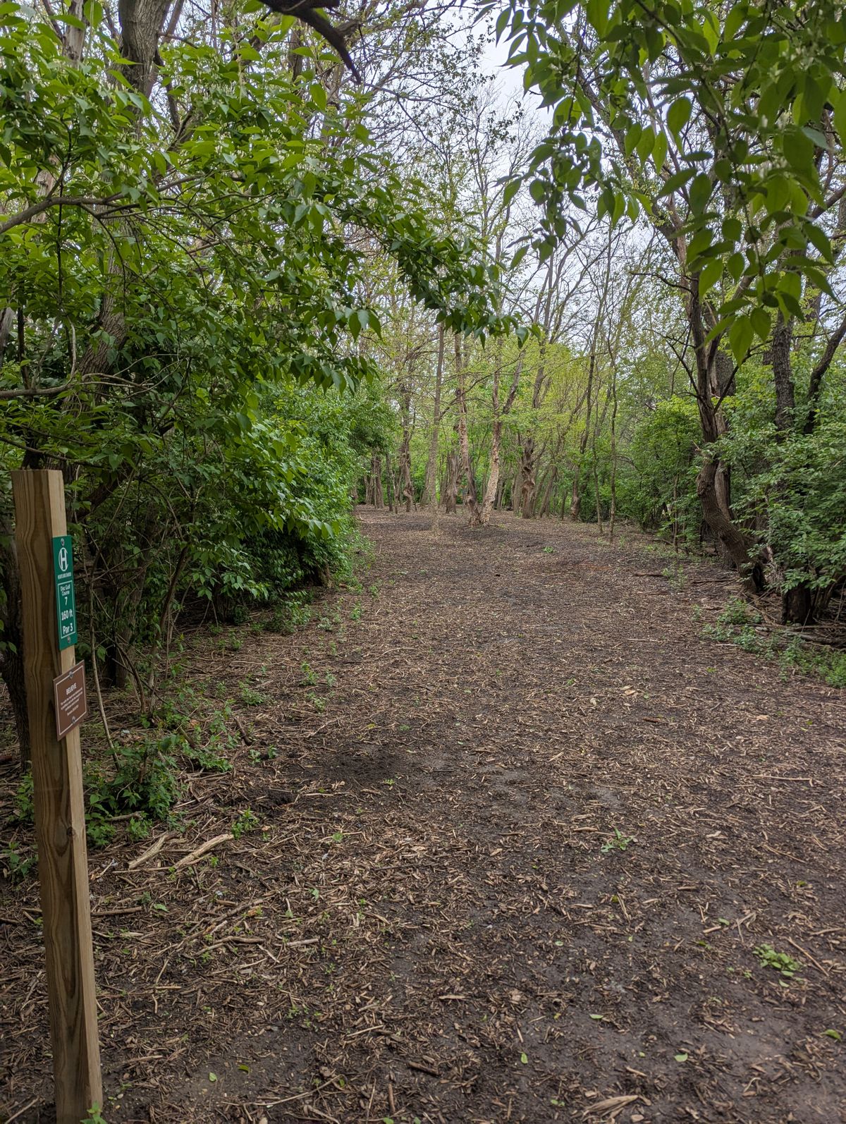 Hole 7