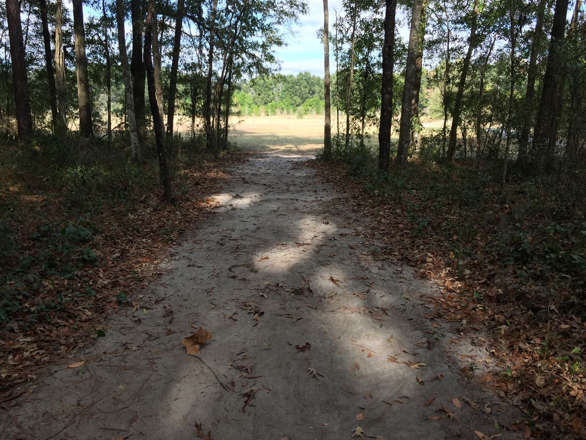Hole 11