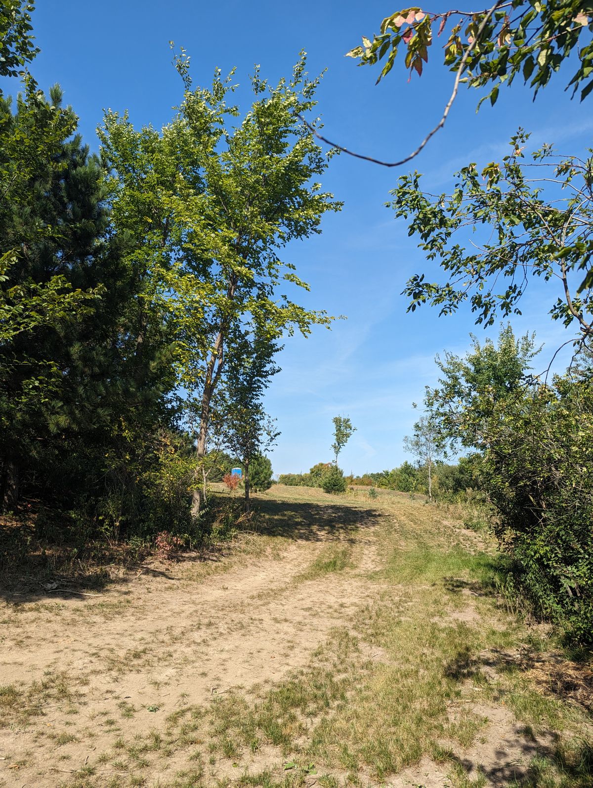 Fairway to Short Basket