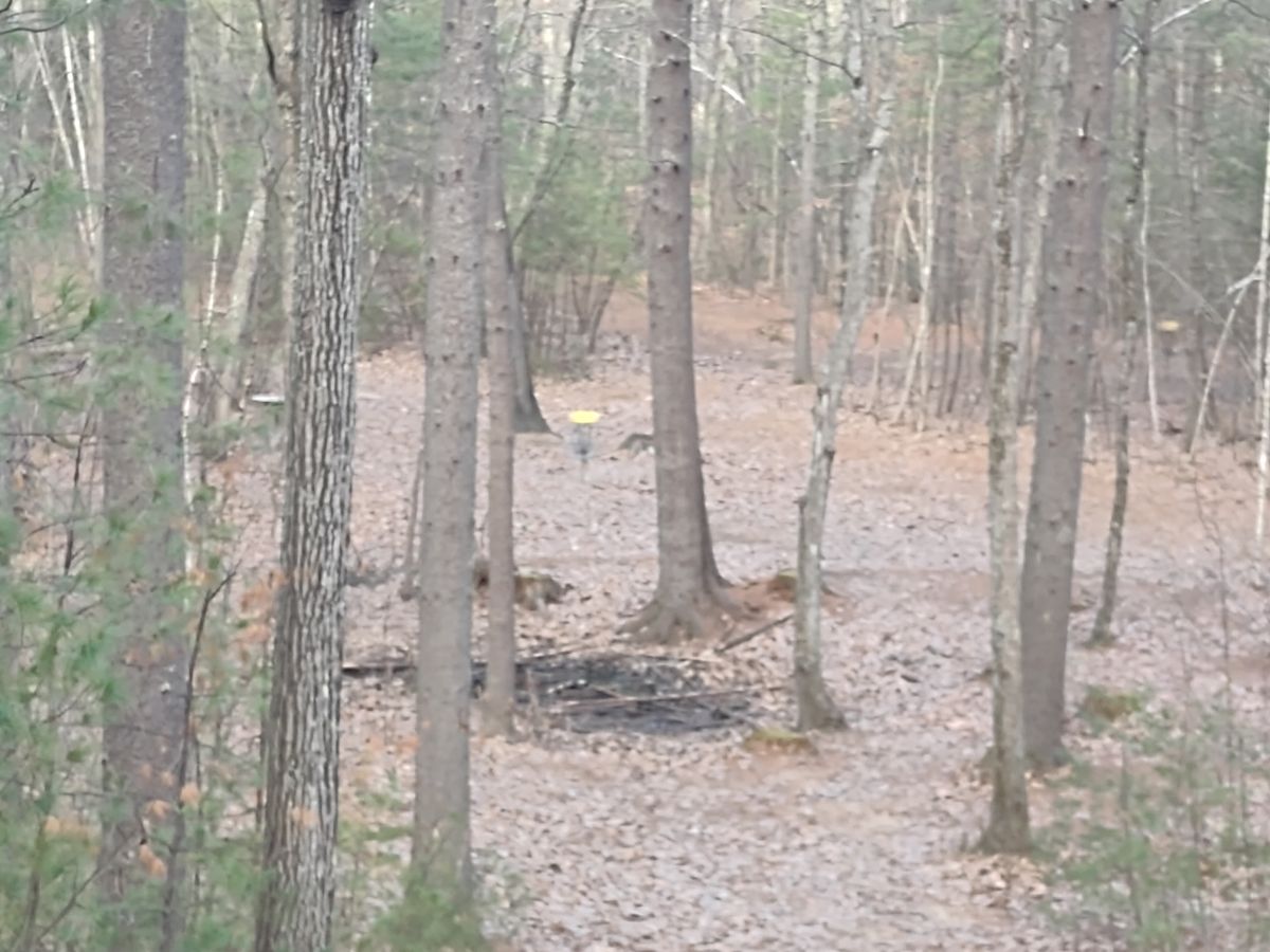 Hole 7