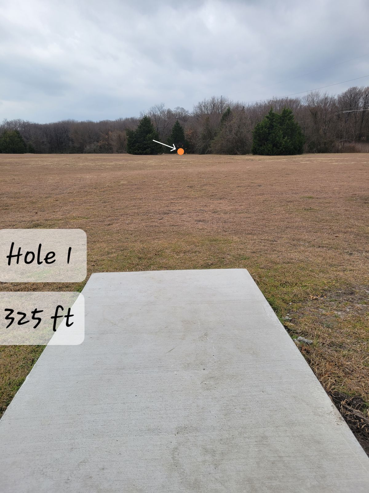 Hole 1- Straight shot with a simi-circle of trees around the Basket