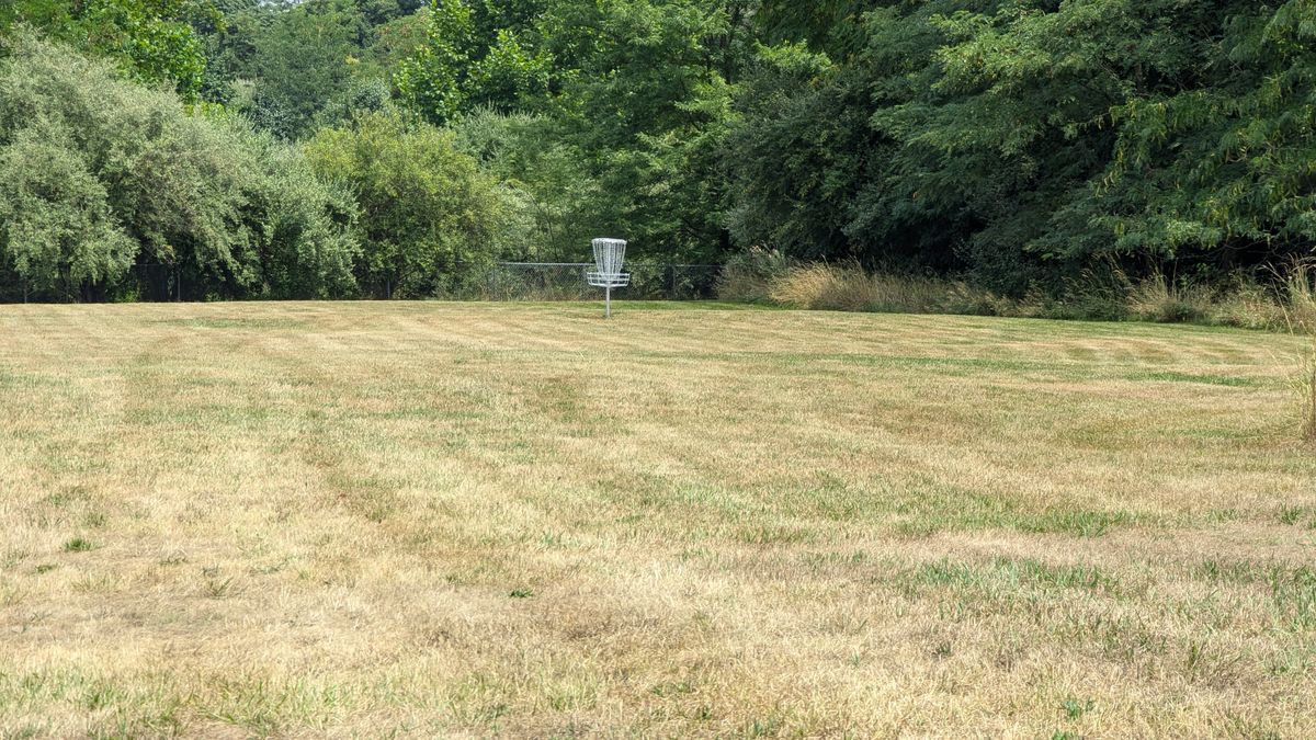 Hole 5 from the tee.