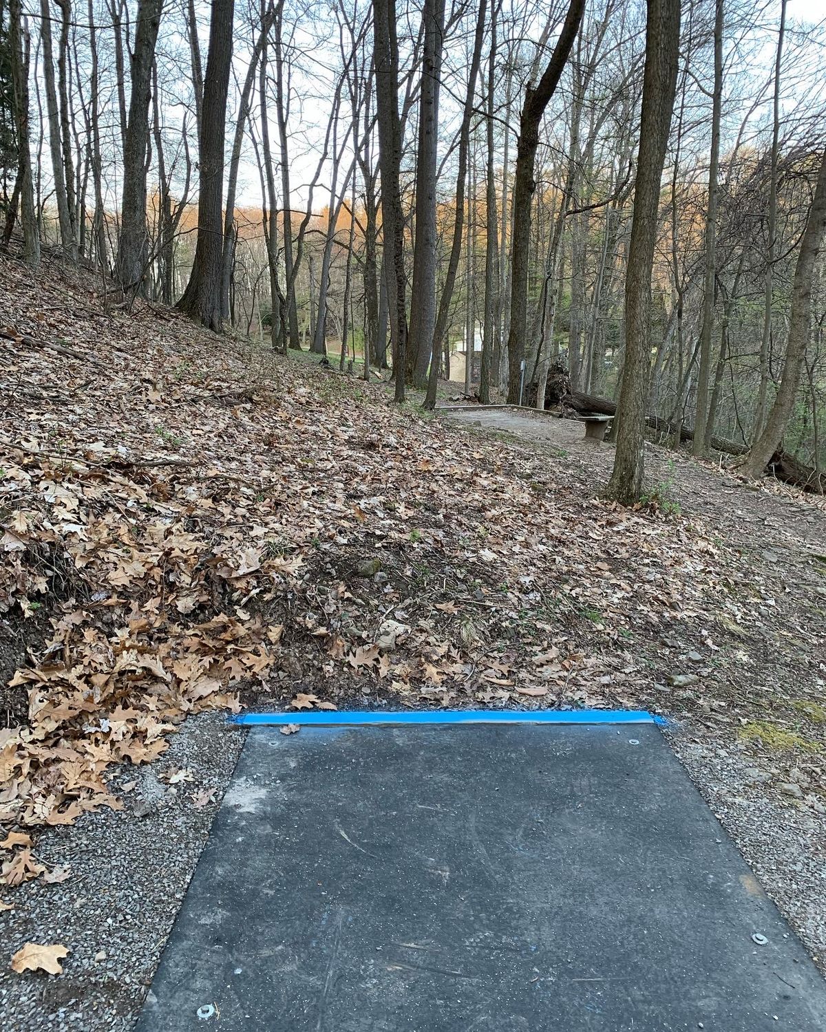 Hole 3 Blue/long tee