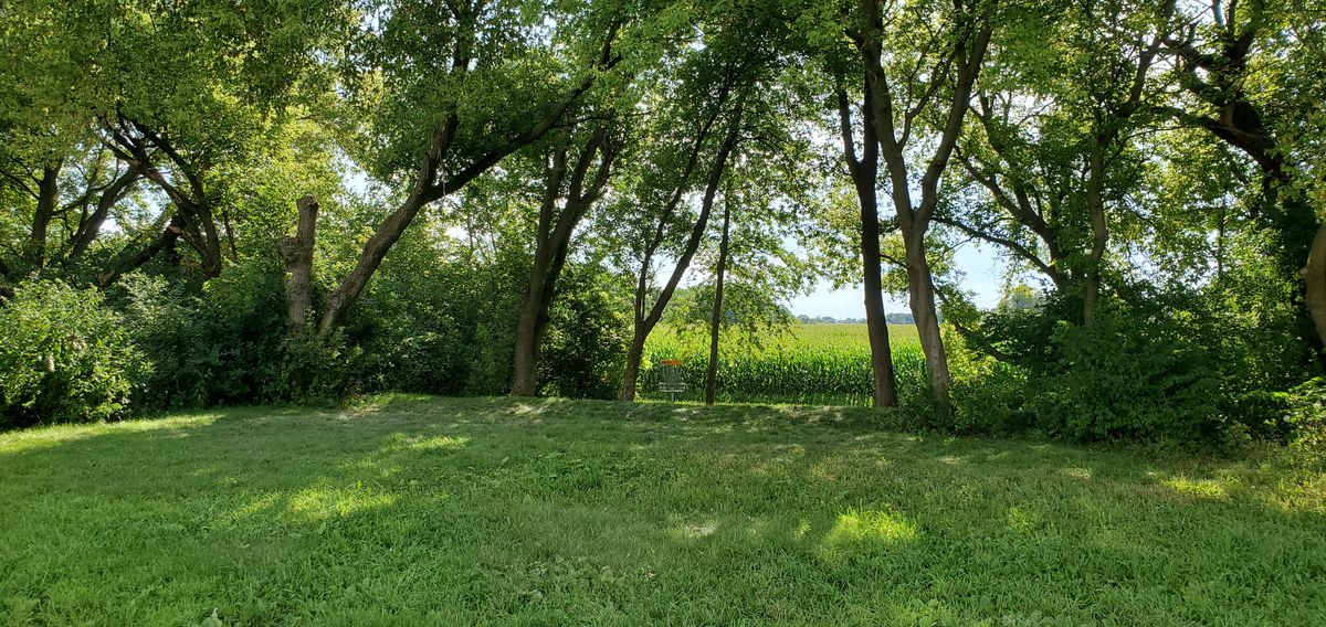 Hole 16's green.