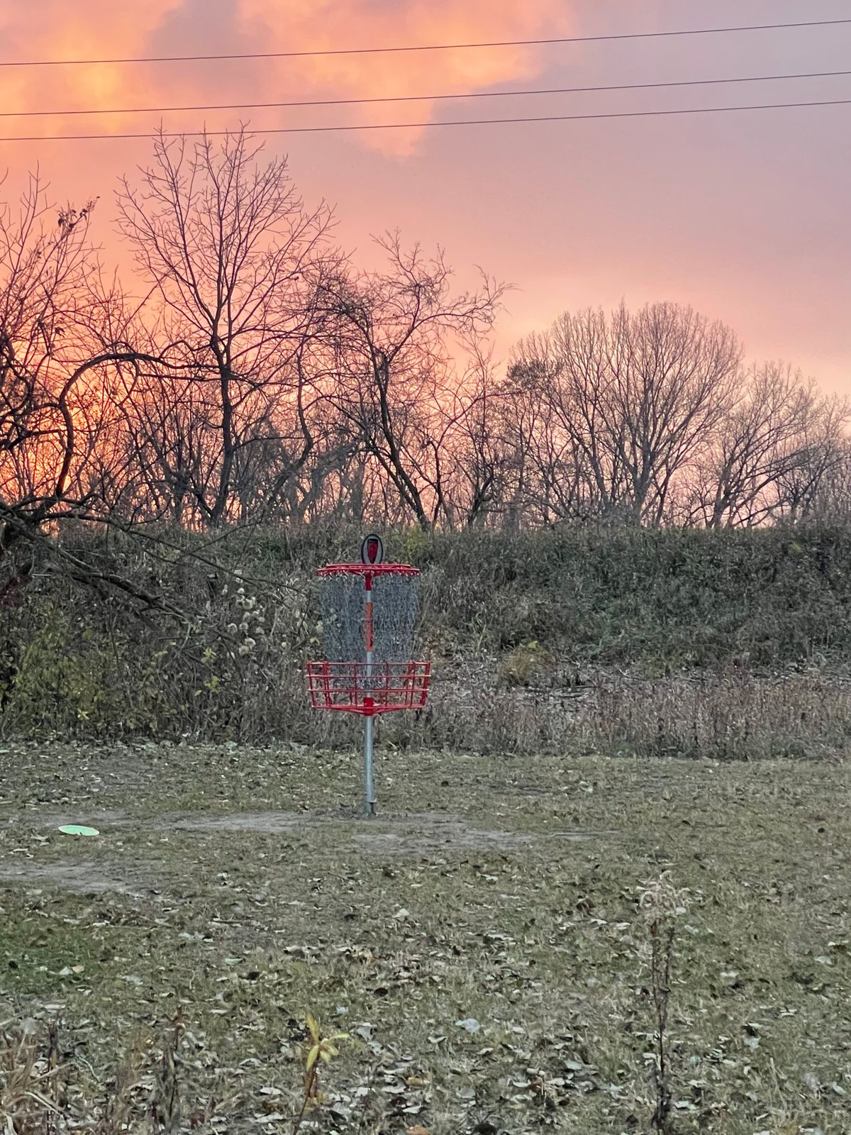 November views at Daub!