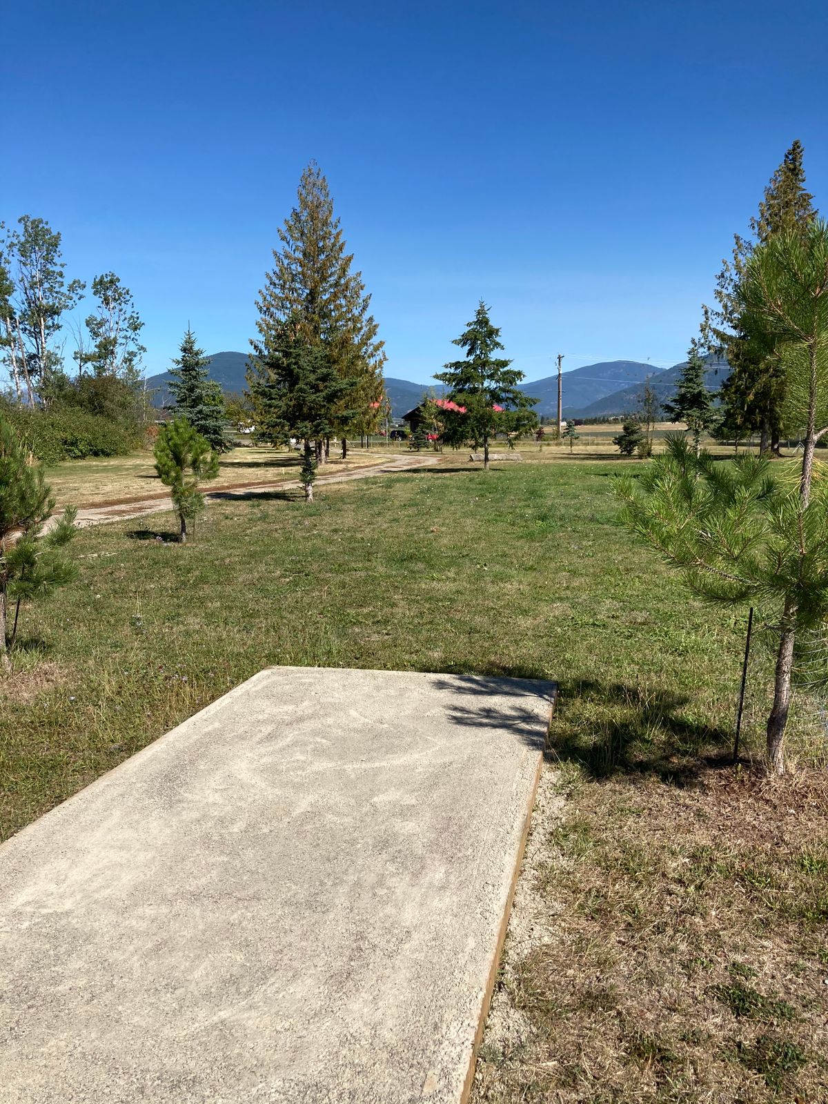 Hole 3 tee