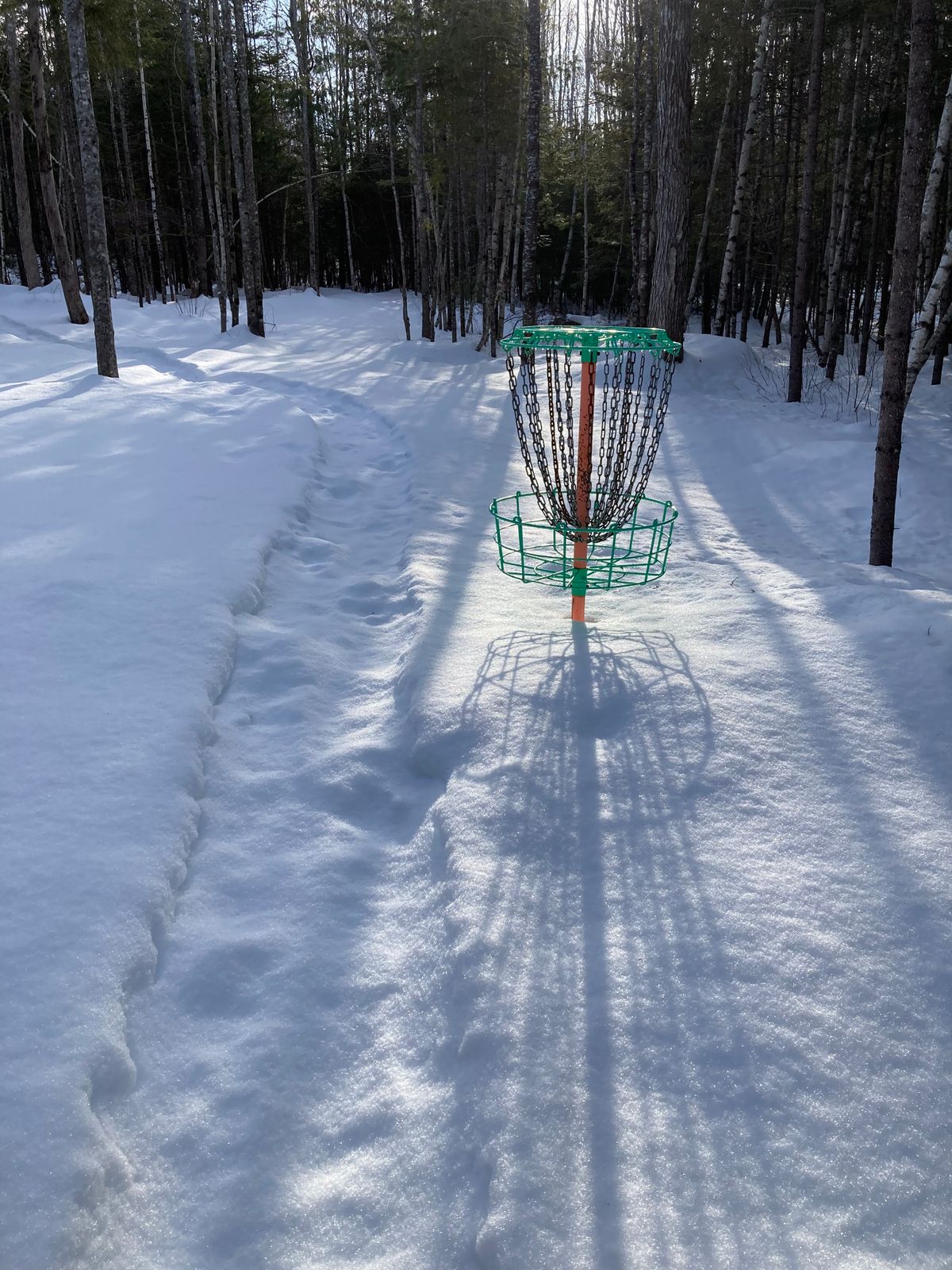Basket of 8 looking slightly back to the tee, late January 2023