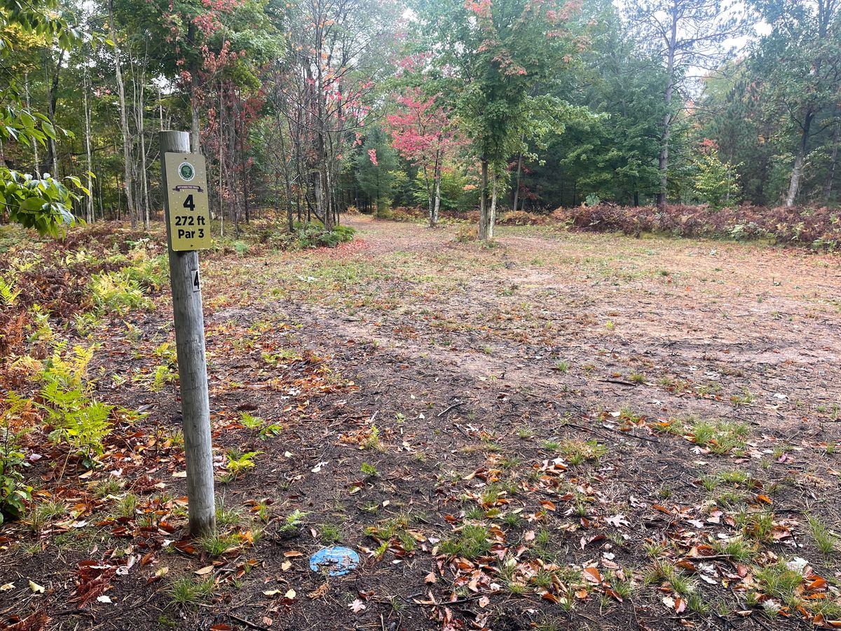 Tee pad 4