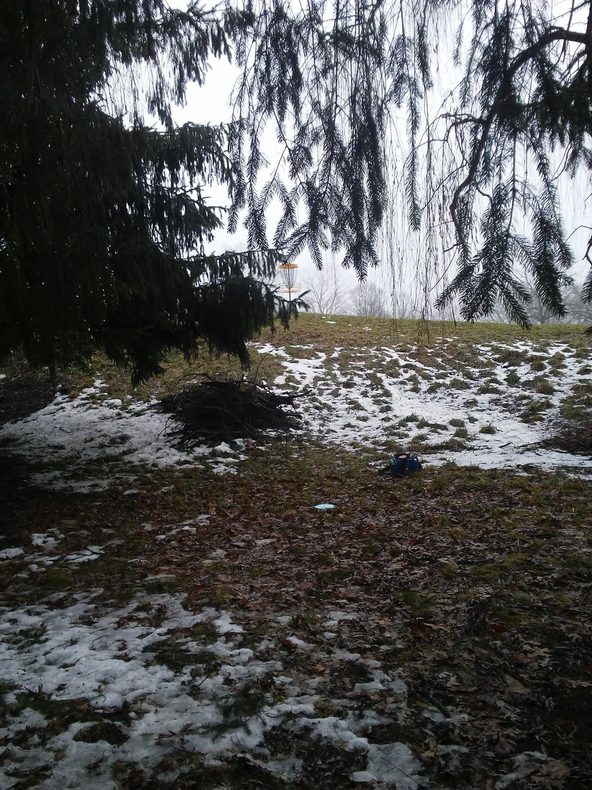 Hole 6 White approach to basket