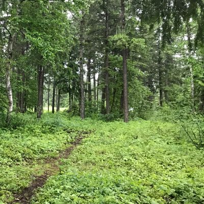 Hole 1