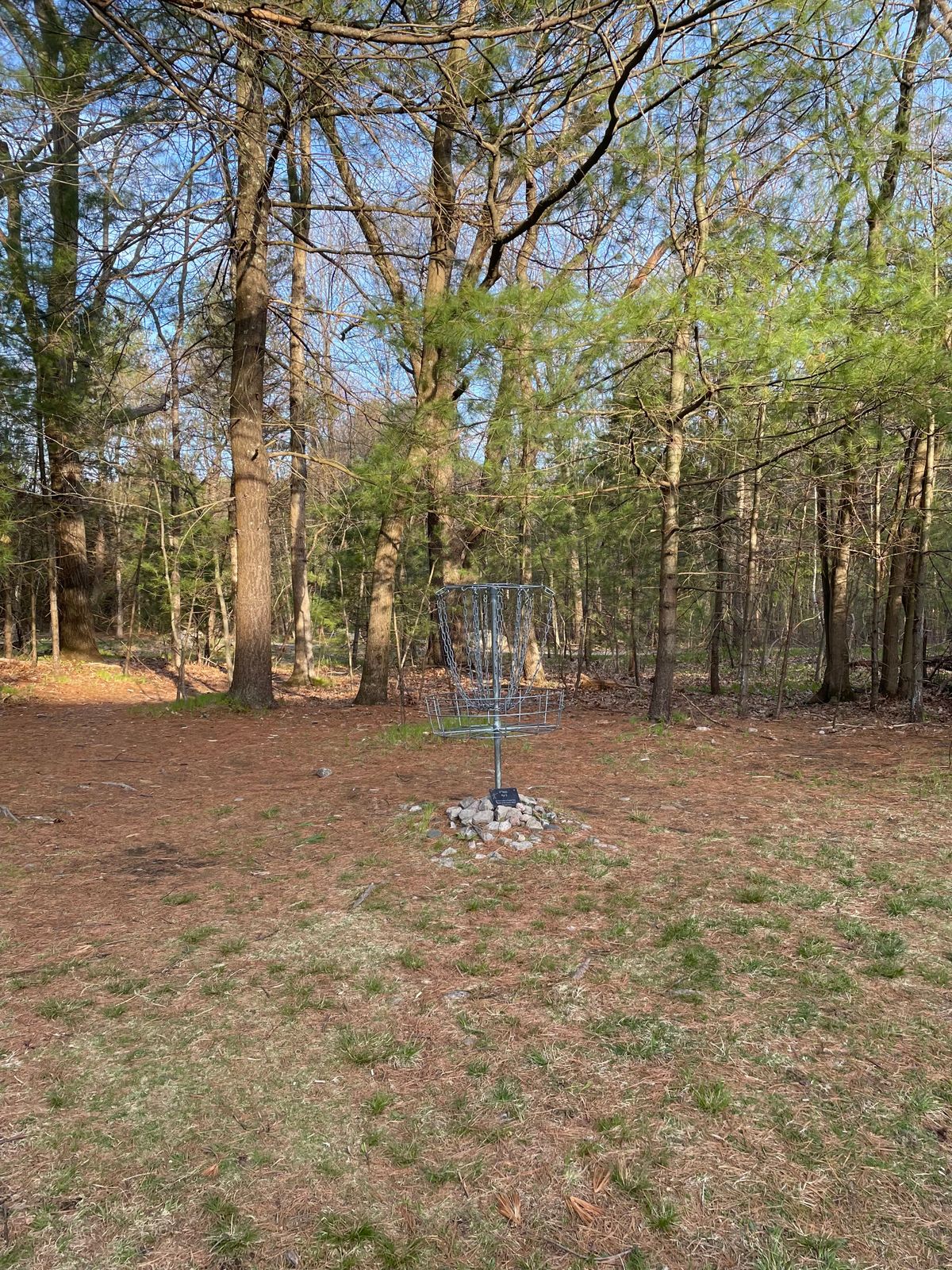 Basket of Hole 2