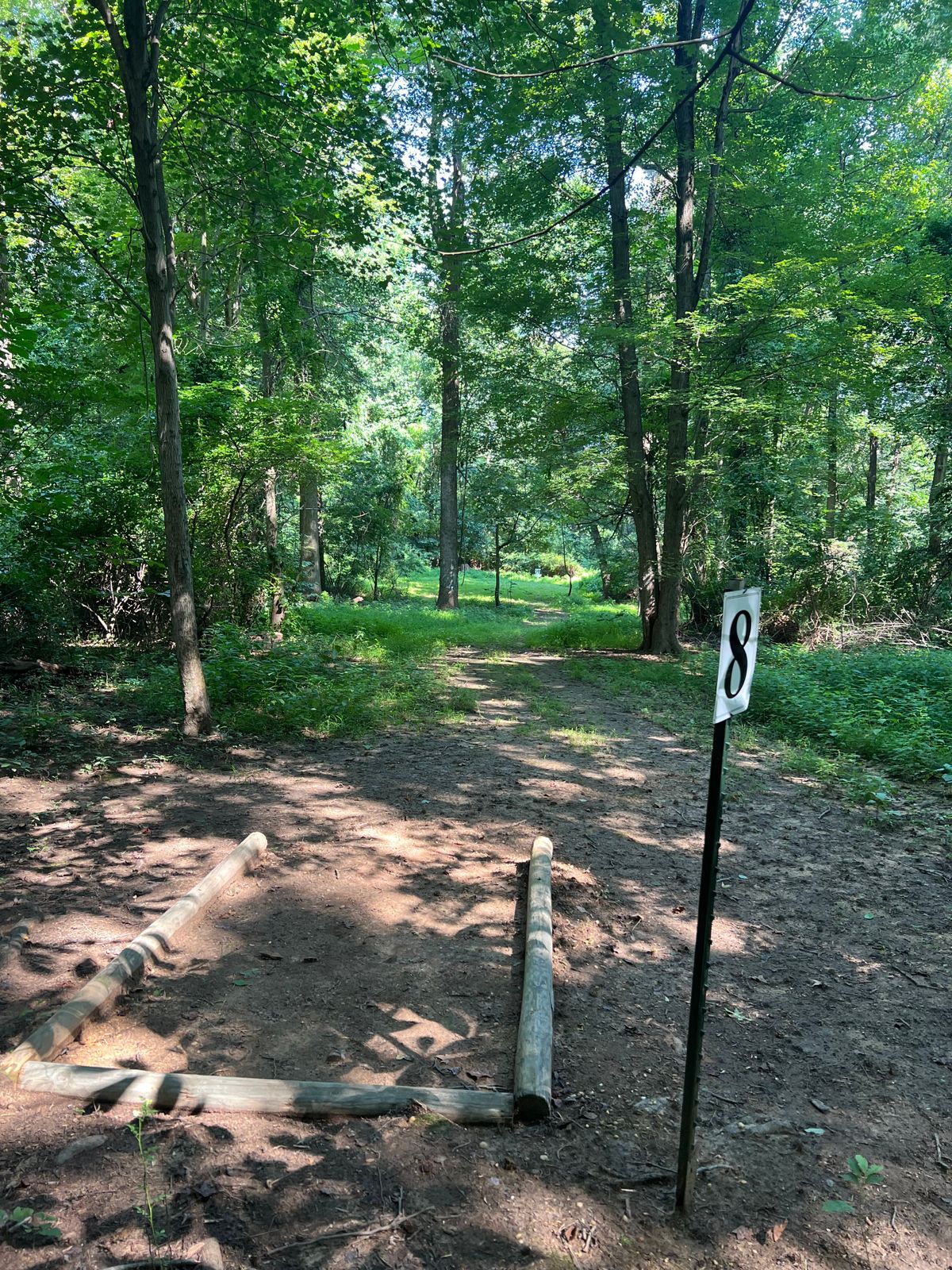 Hole 8 Tee