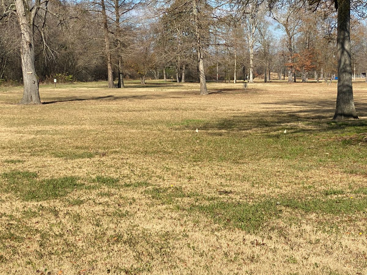 Hole 8 fairway and drop zone