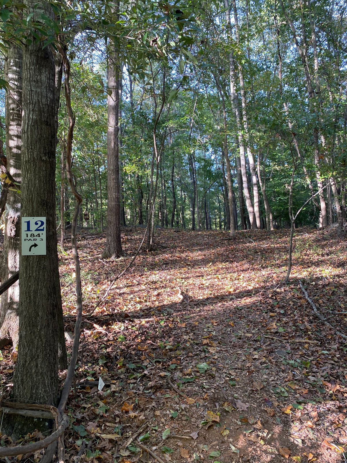Hole 12 Tee