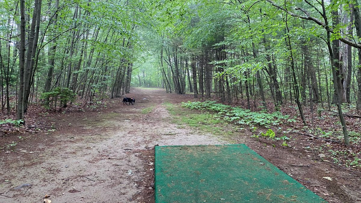 Tee pad of 3