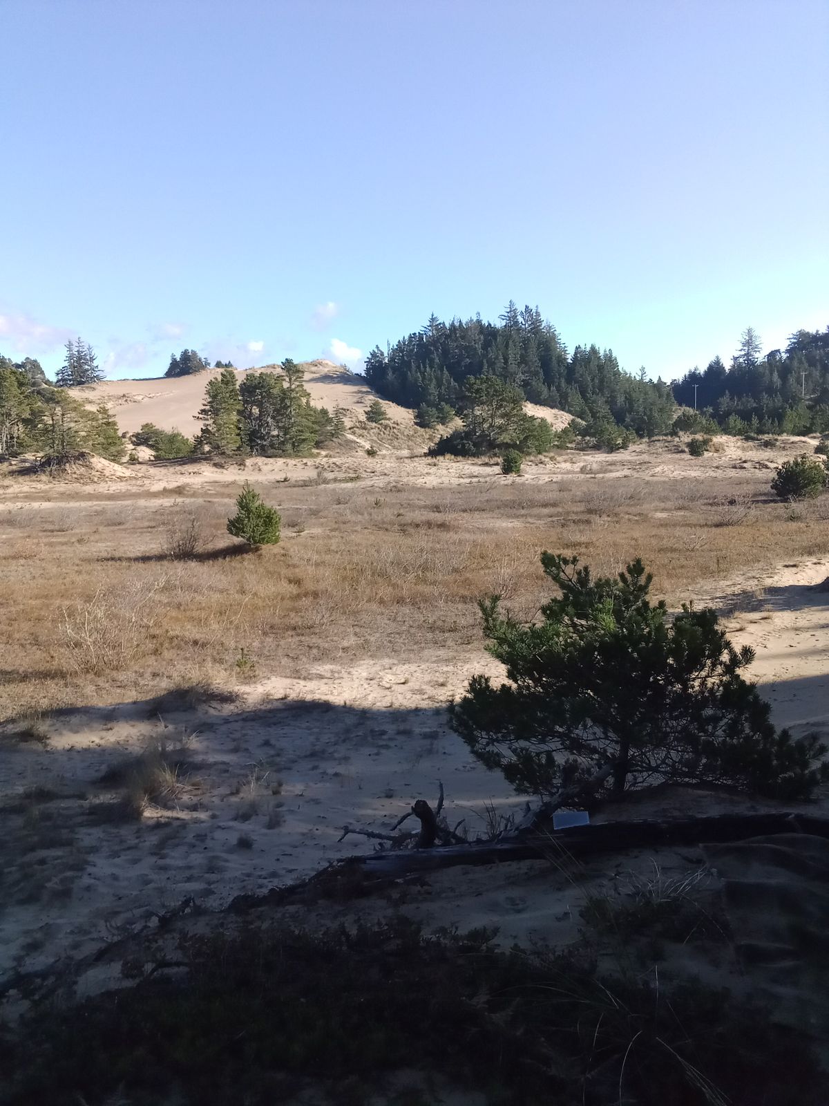 Hole 12