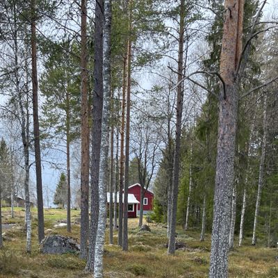 Hål 3, tee on street