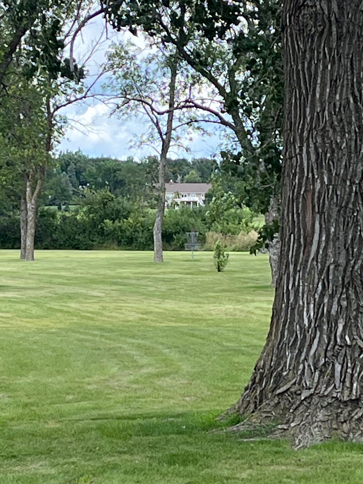 View of #2 from tee.