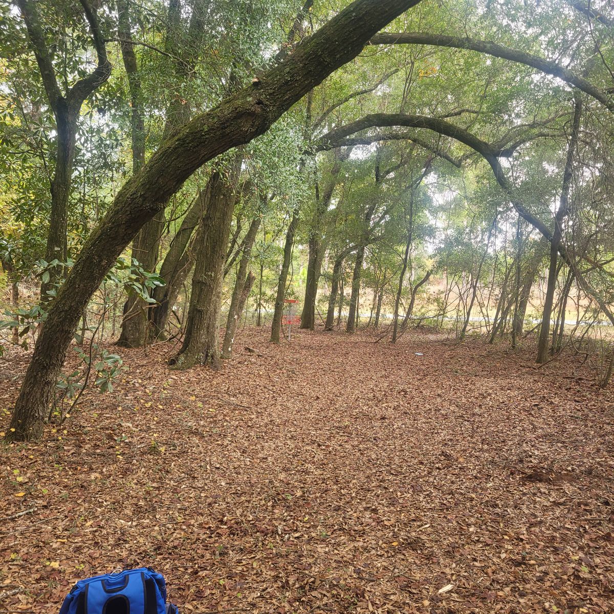 Hole 9 basket