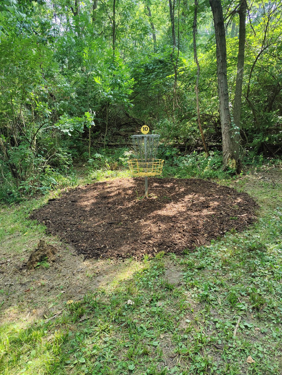 Hole 10B pin