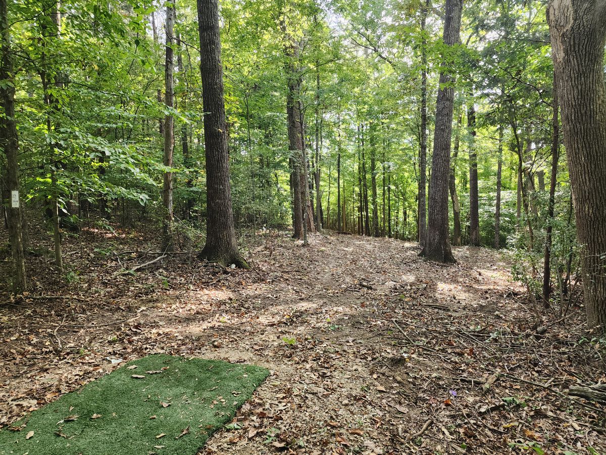 15 tee