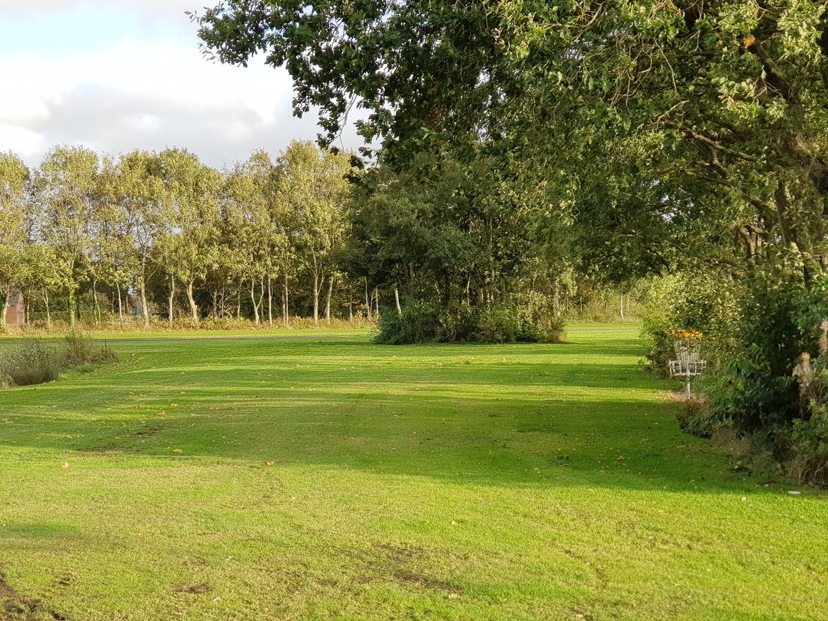 Hole 8, freshly mowed (as seen from hole 9)