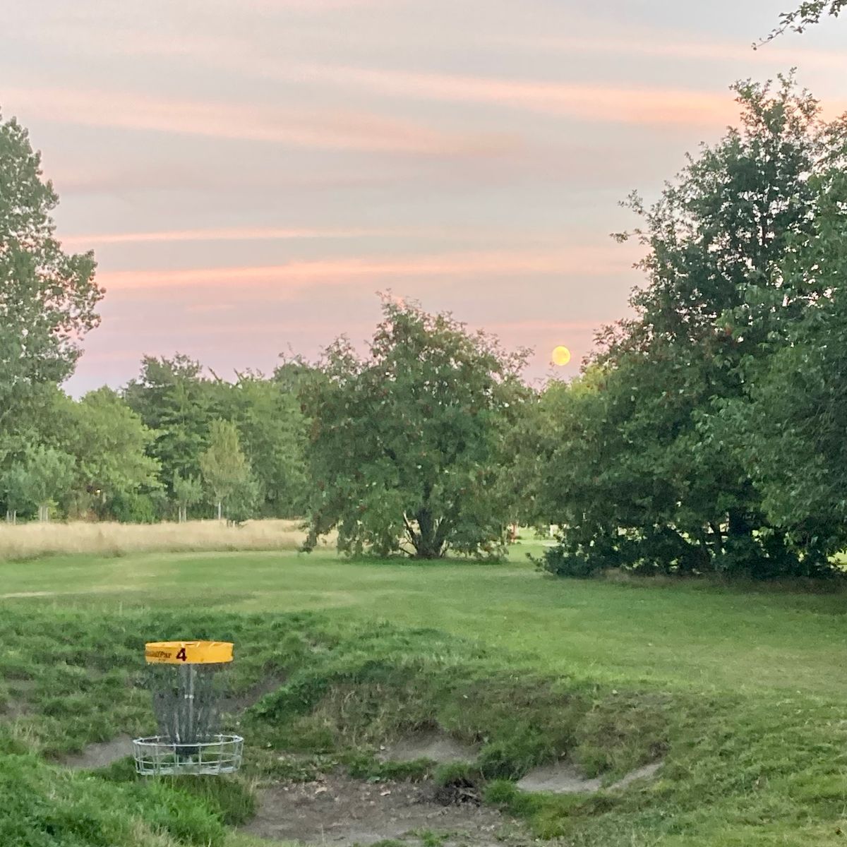 The 4th basket is hidden inside an old golf bunker. A full moon was photo bombing. 