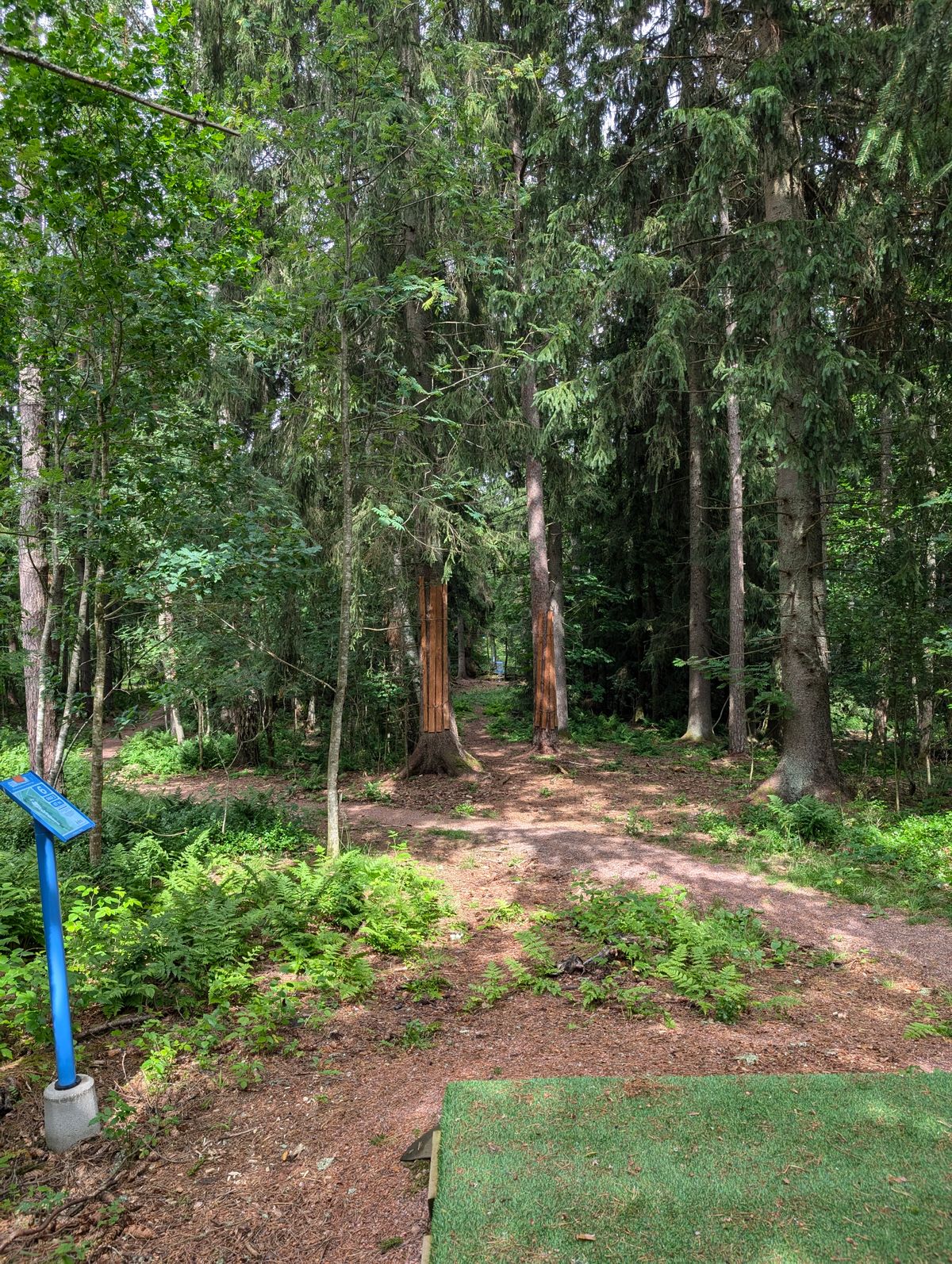 Hole 6