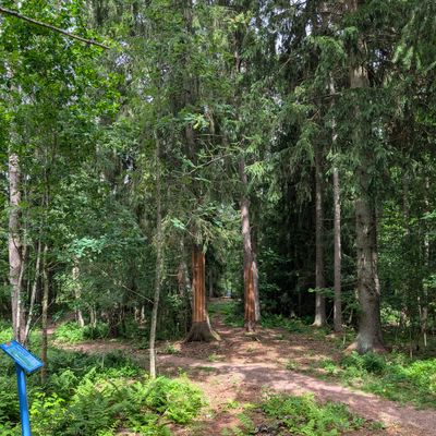 Hole 6