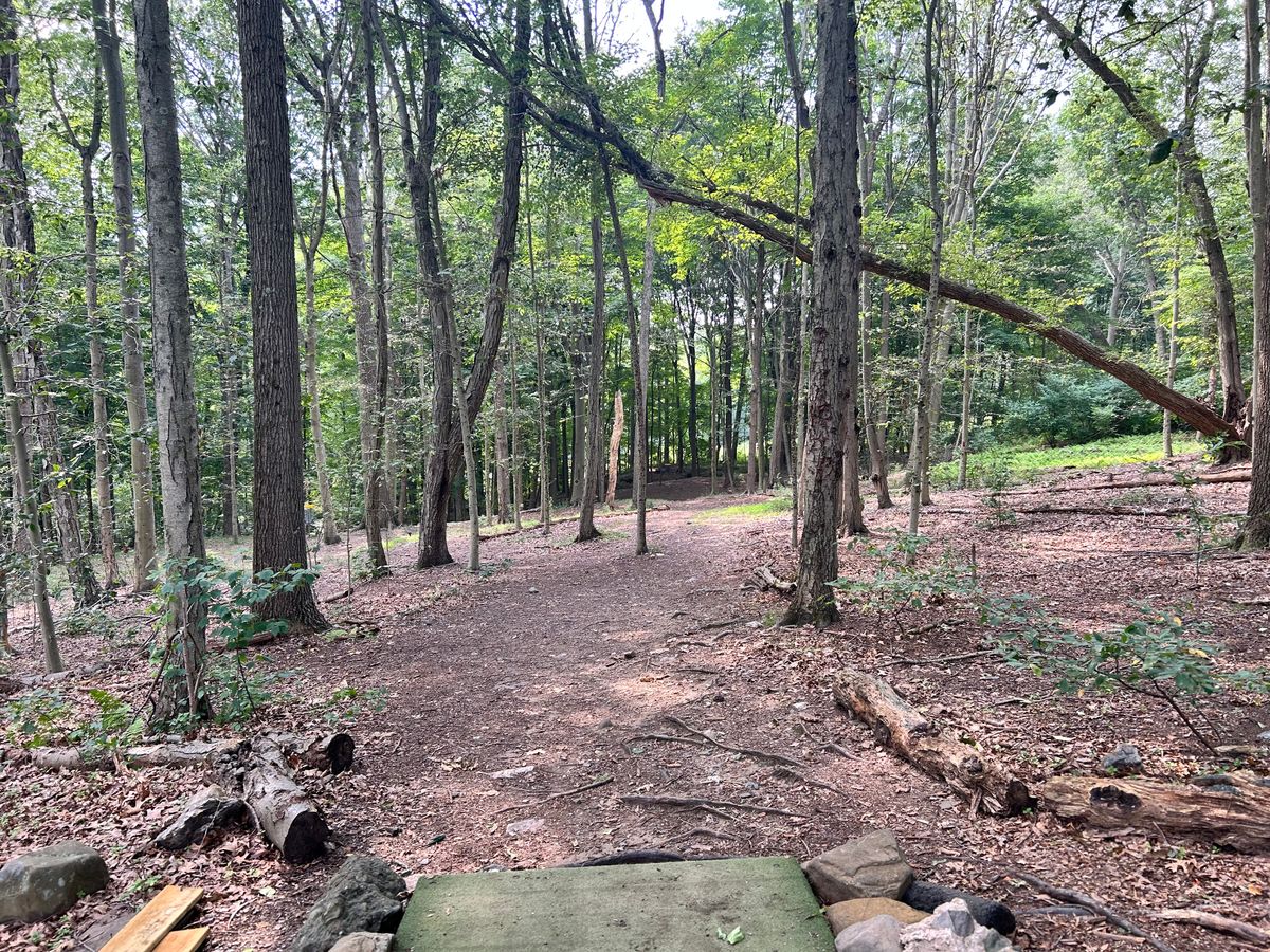 Hole 1