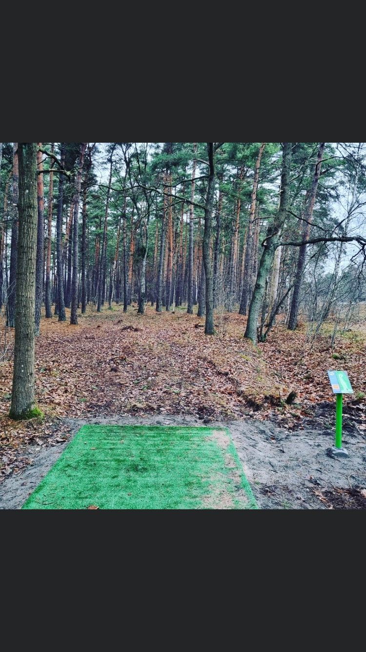 Tee 15