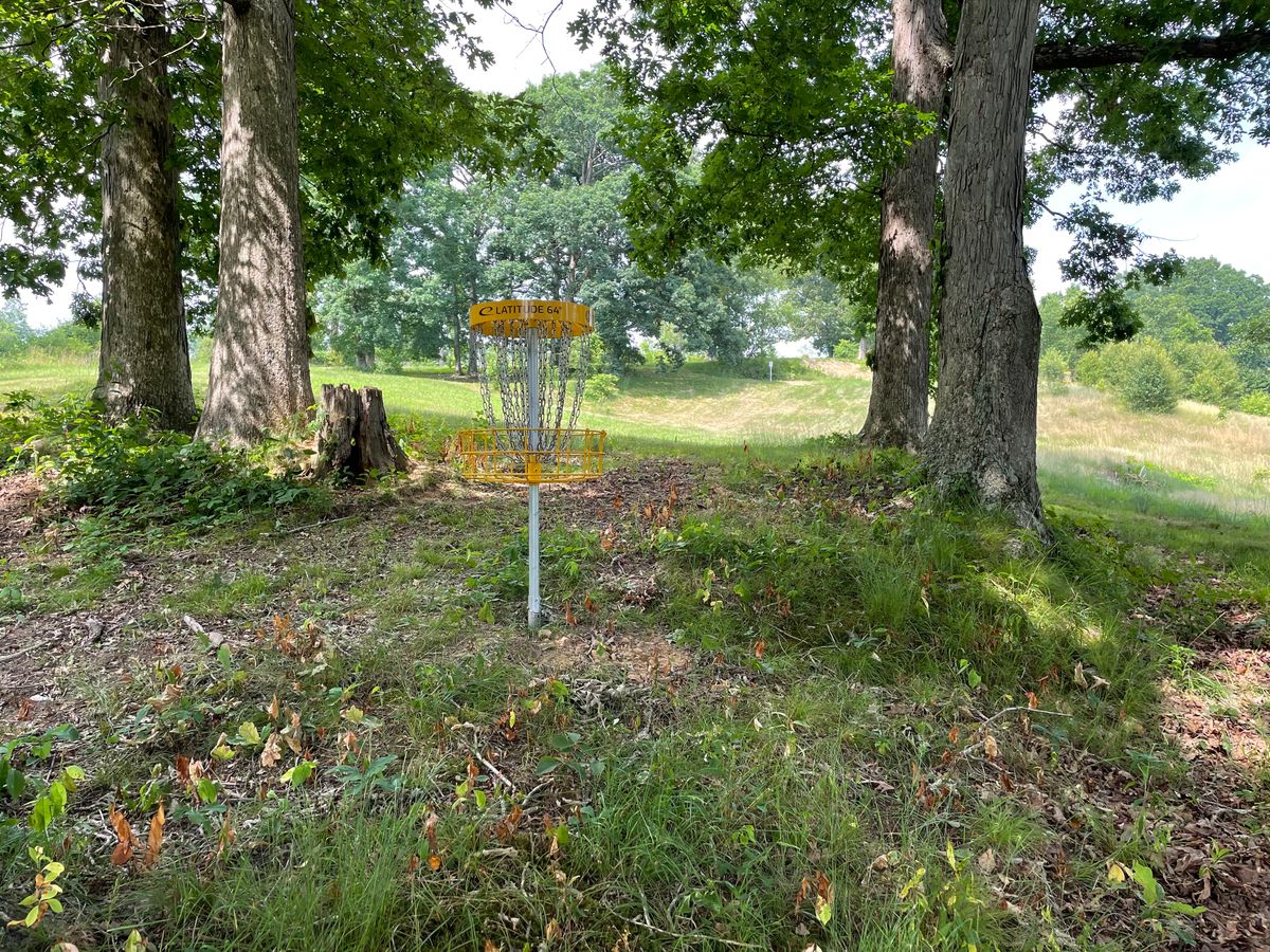 Behind Basket looking up hill to tees.
