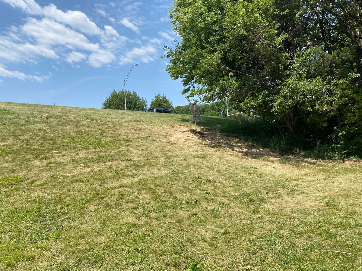 Basket at 2 is up to the right. Nice under tree placement on the tree-line