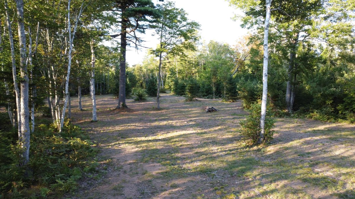 Hole 5 - fairway.