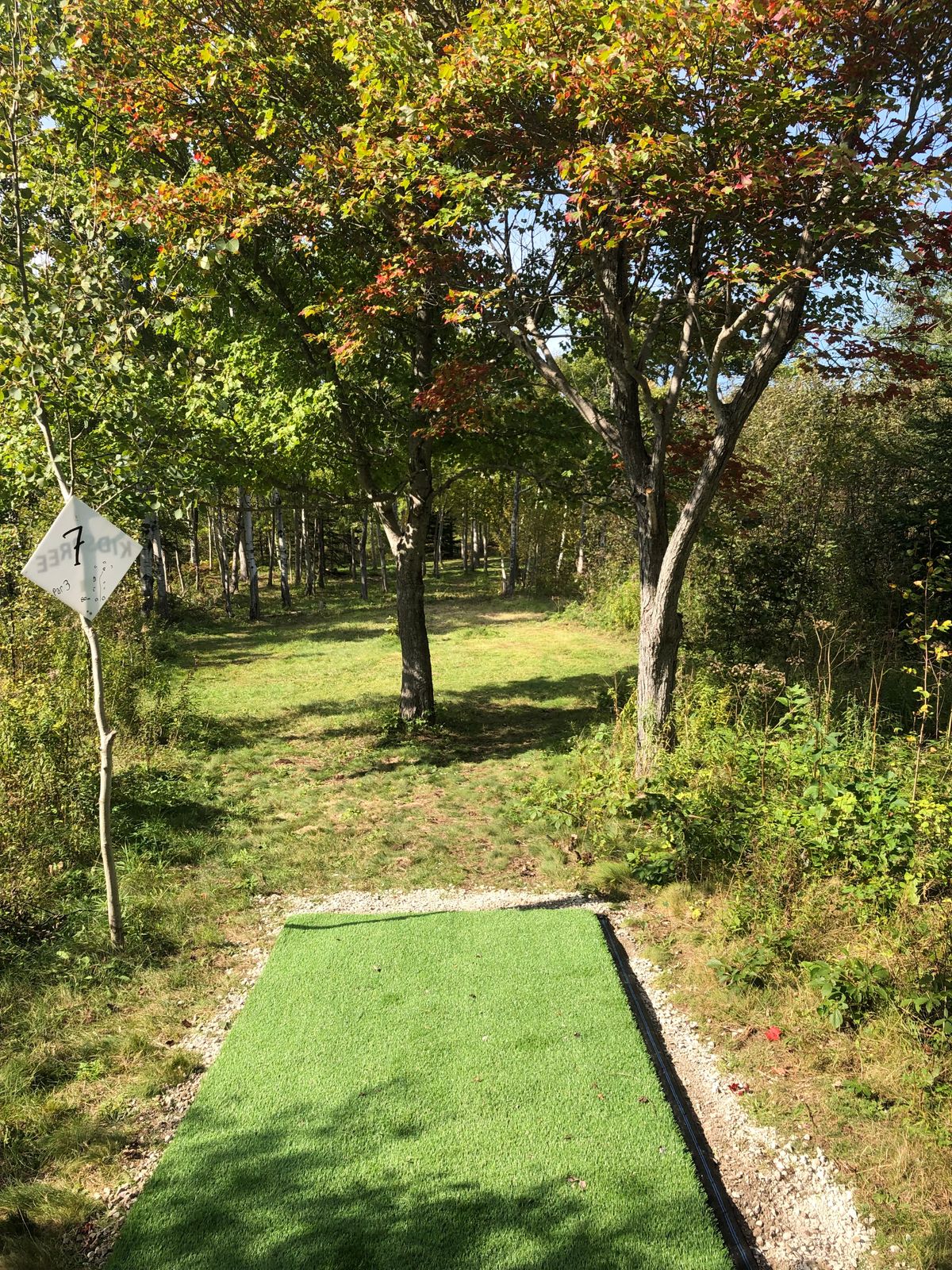 Tee pad hole 7 oct 7 21